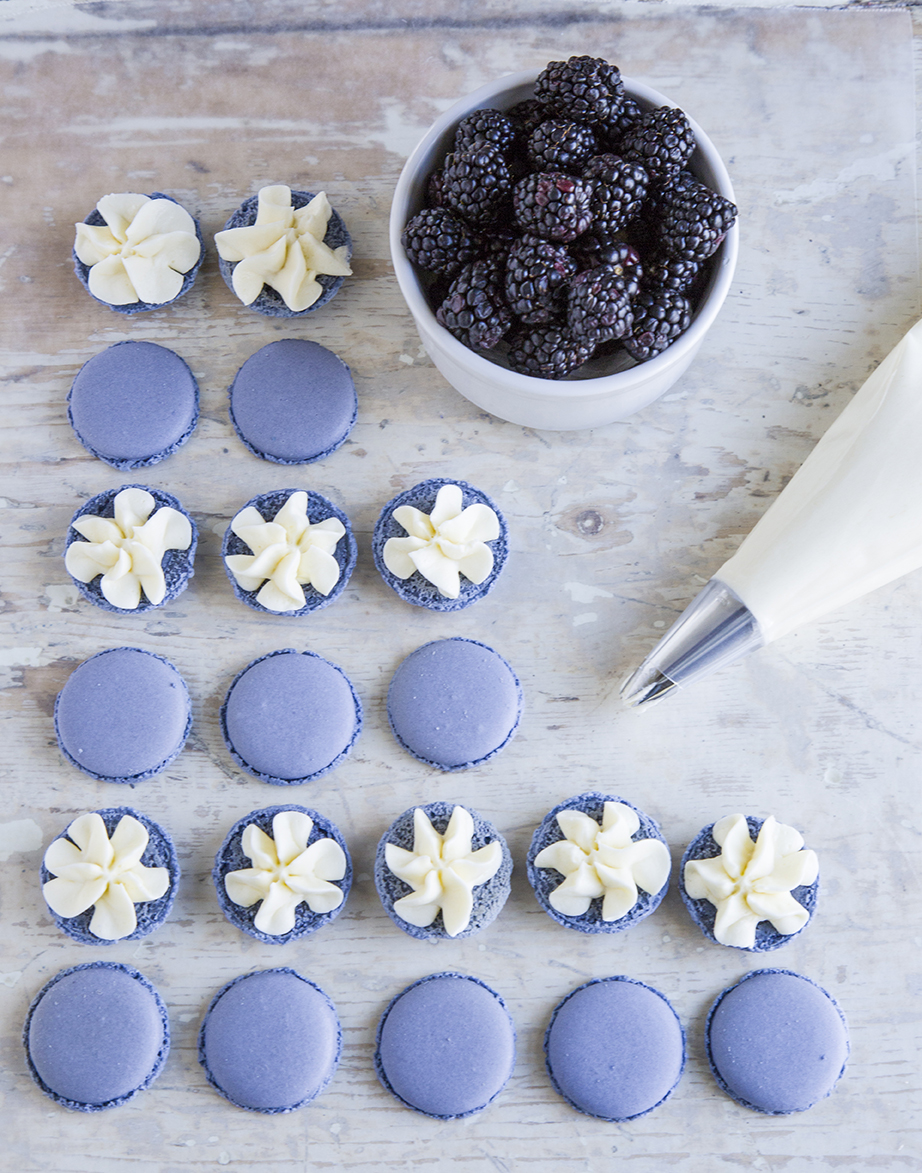 blueberrymacaron1