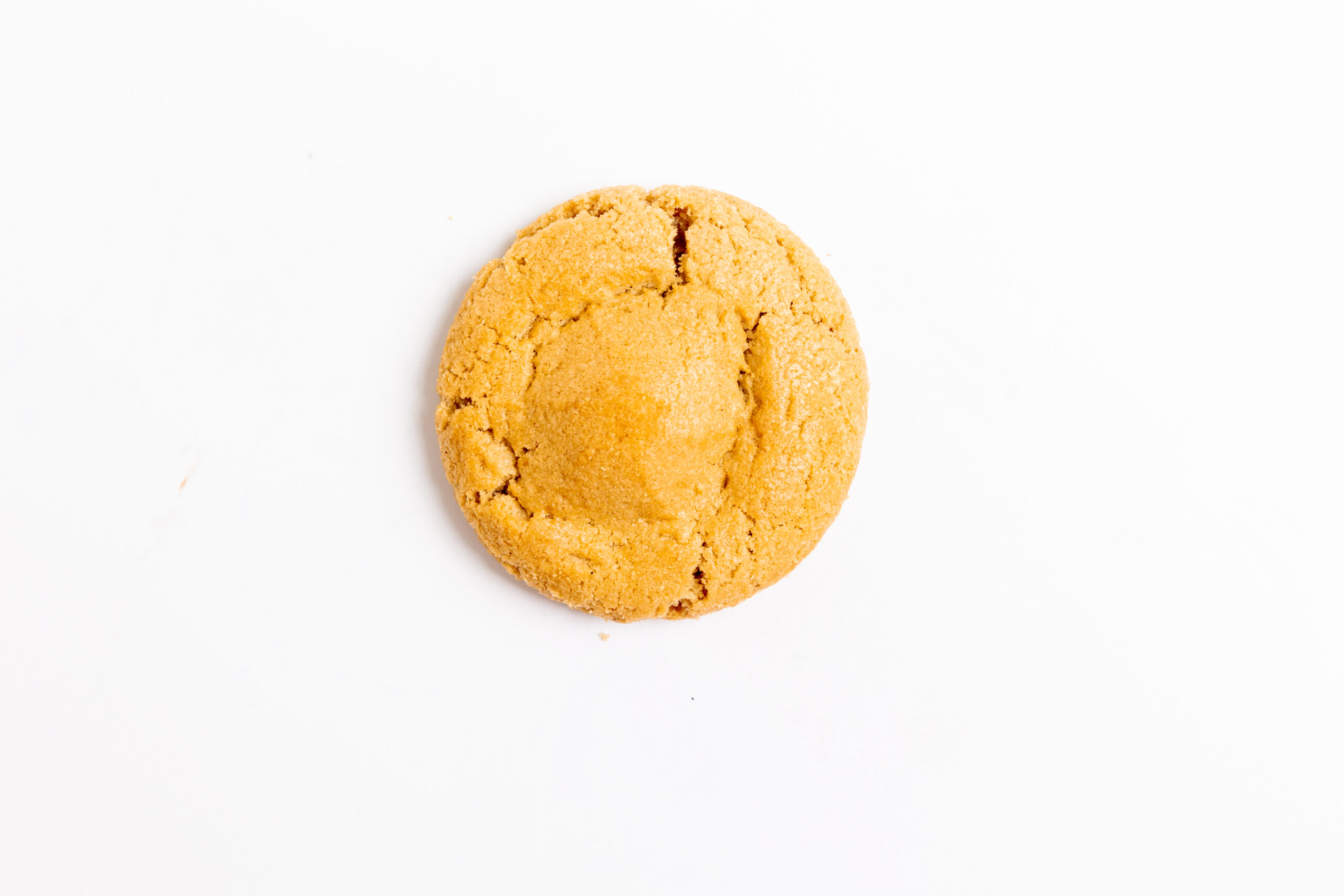 RedButtonVintageCreamery_CookieDough_SingleCookie_Overhead_AFS-2