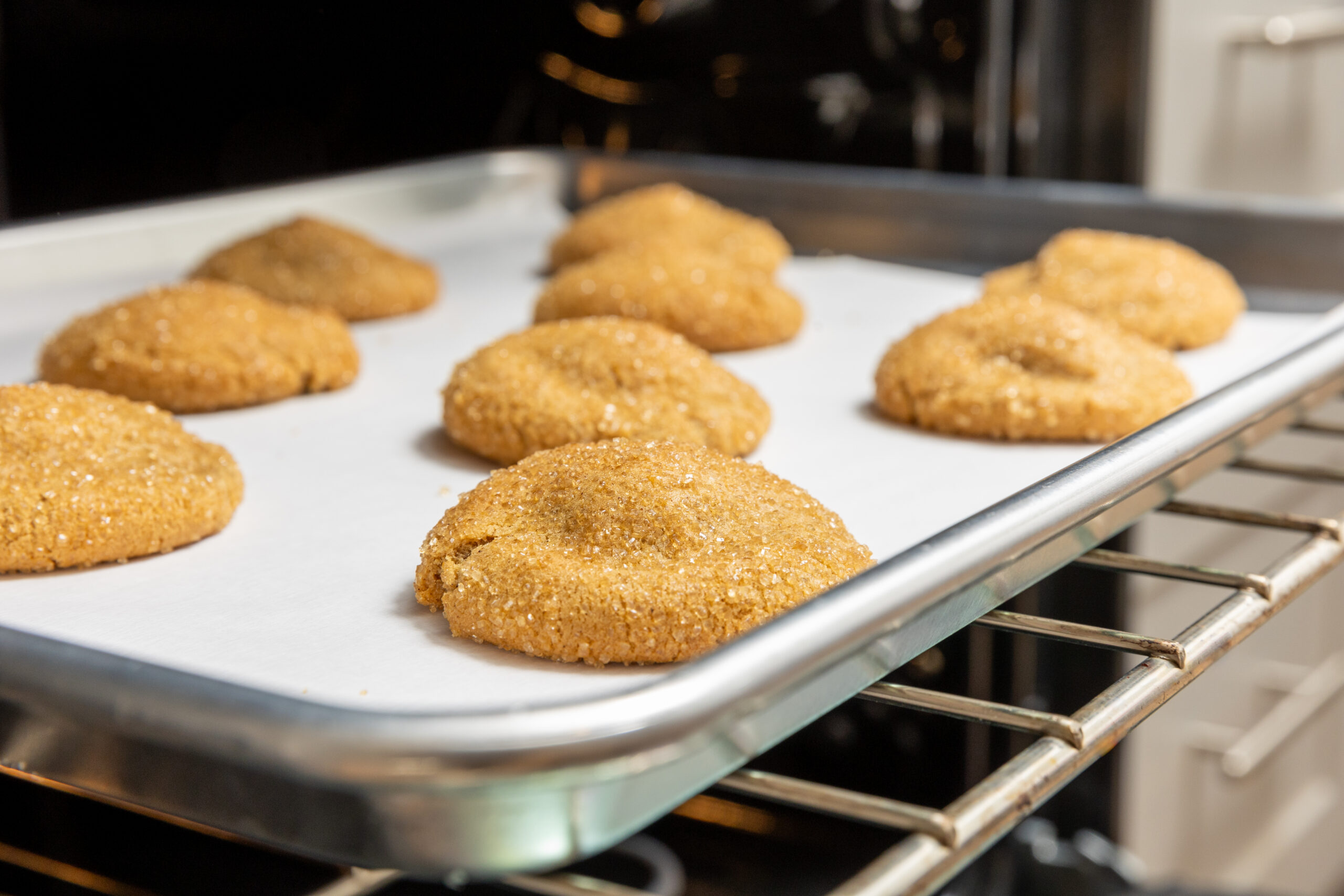 RedButtonVintageCreamery_FrozenCookieDough_CozyGingerMolasses_Nov24_AFS-2
