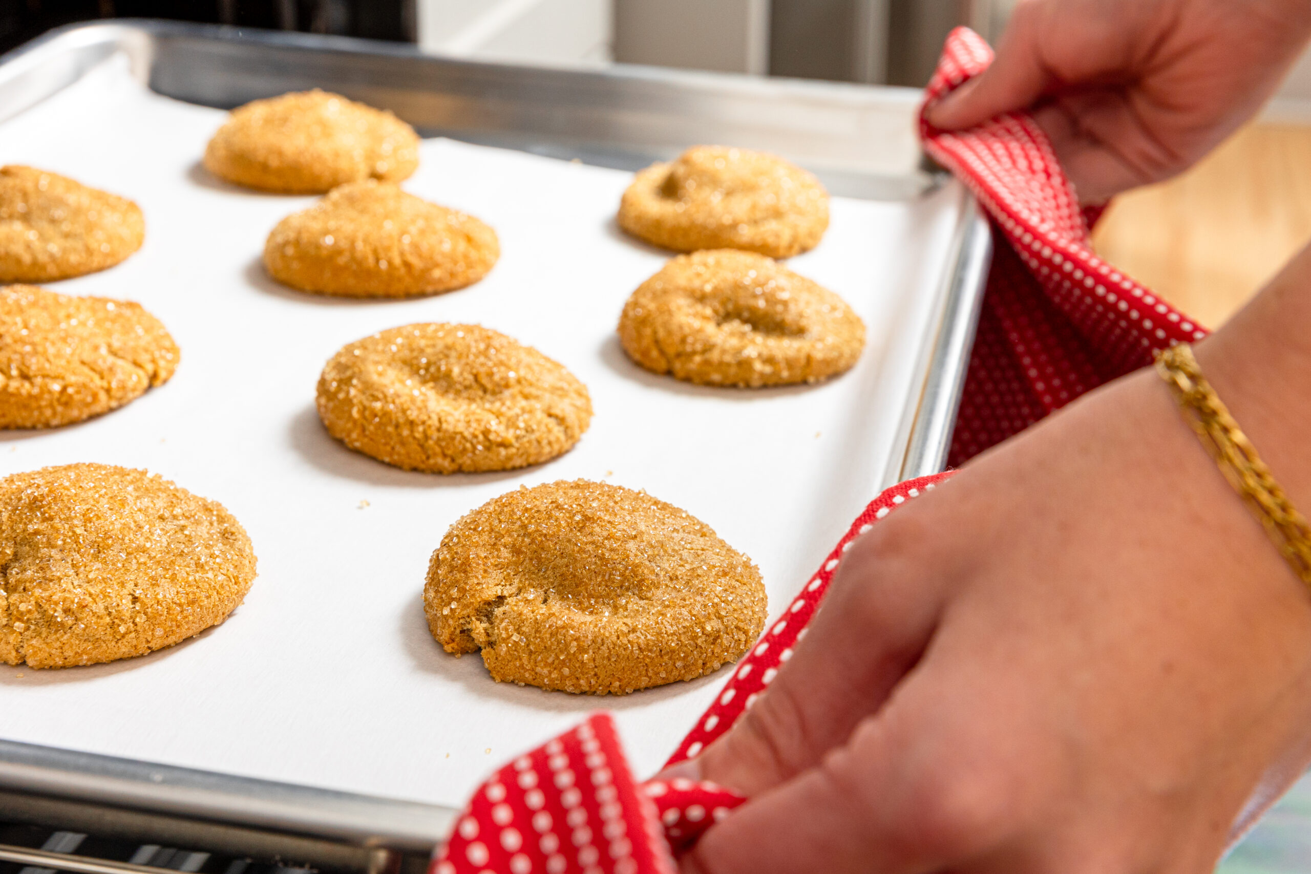 RedButtonVintageCreamery_FrozenCookieDough_CozyGingerMolasses_Nov24_AFS-5