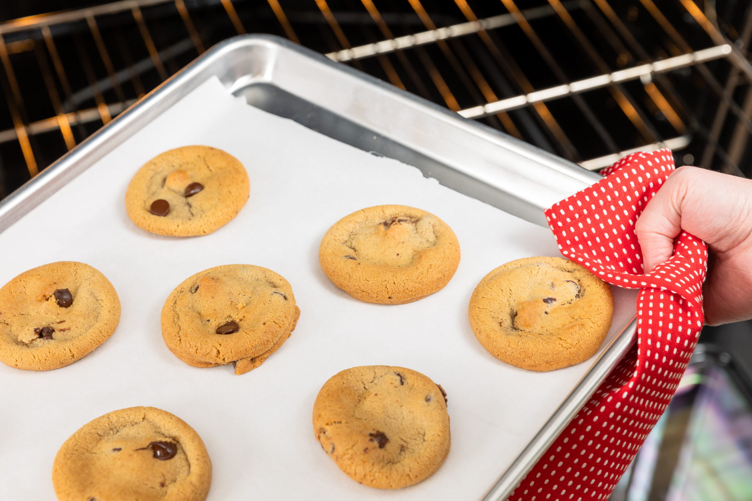 RedButtonVintageCreamery_FrozenCookieDough_IrresistibleChocolateChip_Nov24_AFS-9