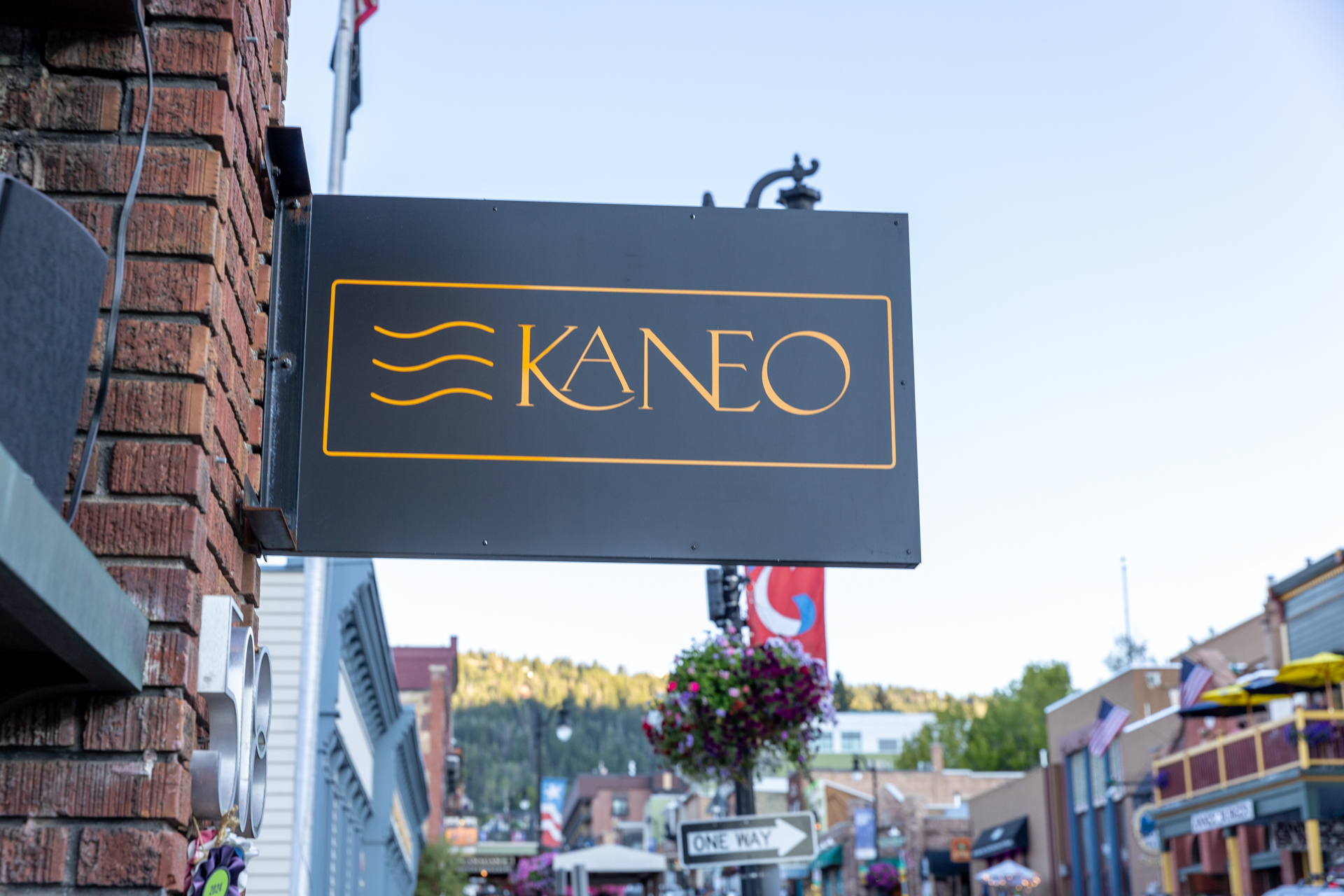Kaneo_InteriorExterior_Spothopper-12
