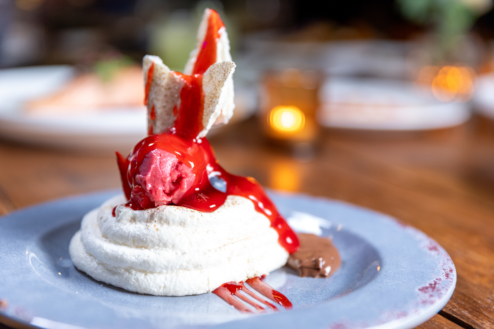 Kaneo_Pavlova_Spothopper-2
