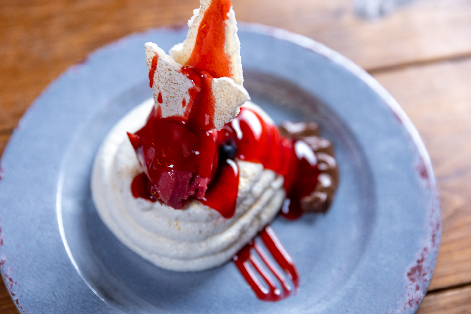 Kaneo_Pavlova_Spothopper-3