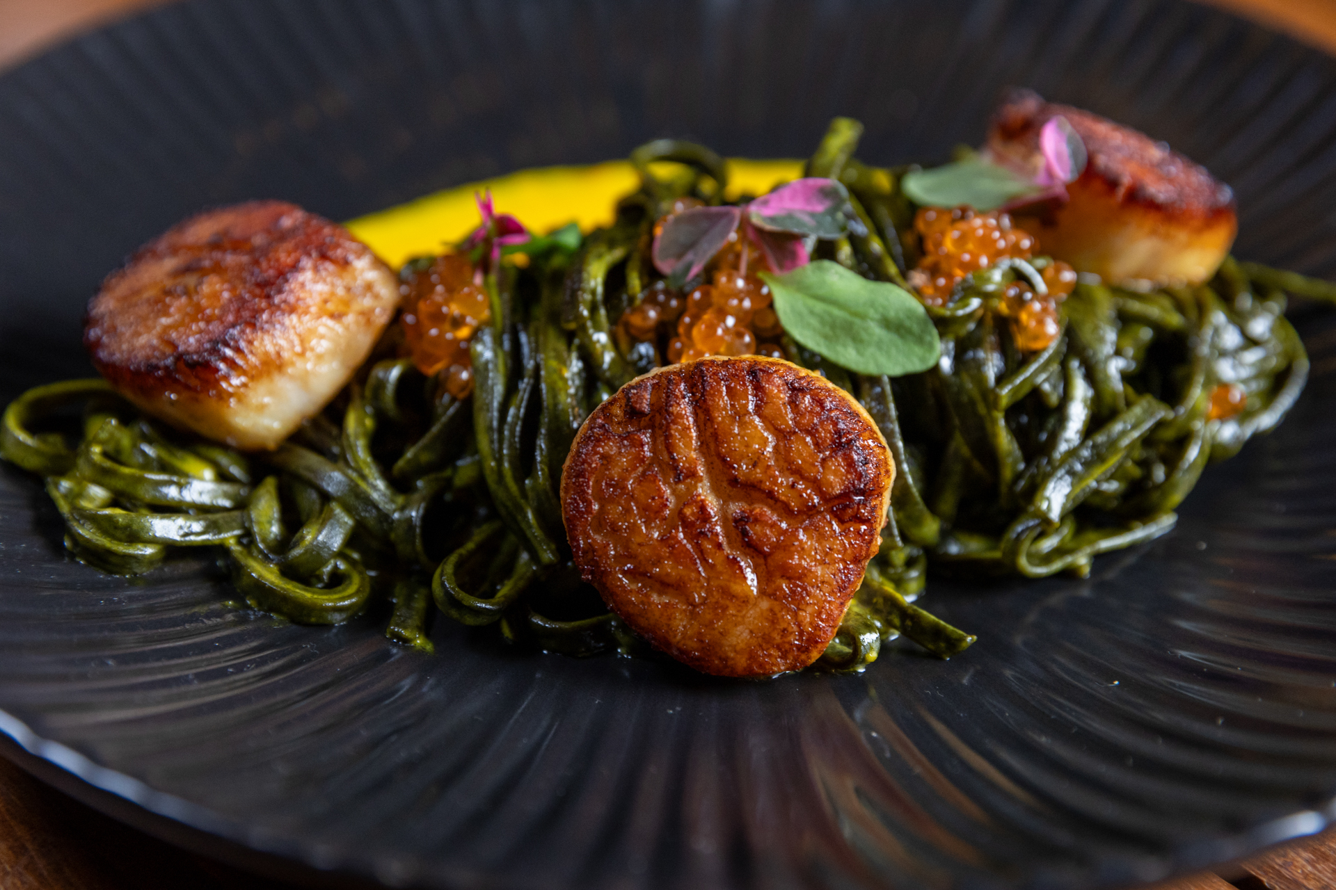 Kaneo_Scallops_Spothopper-1